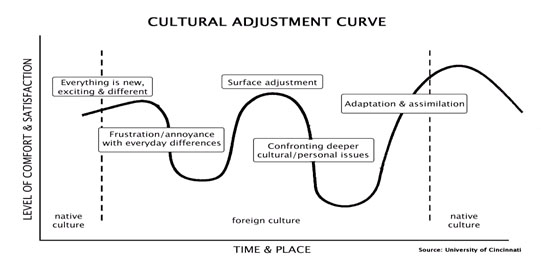 cultural adjustment and culture shock